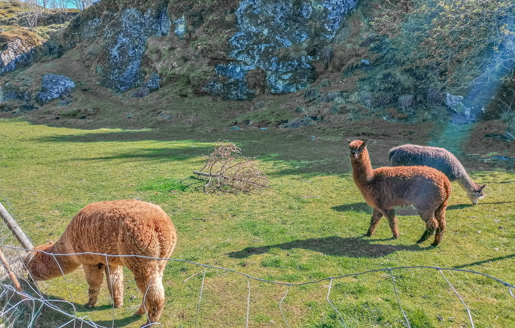 Lejlighed - Øygarden , Norge - N20347 23