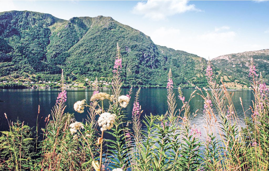 Ferienhaus - Vaksdal/Veafjorden , Norwegen - N20179 10