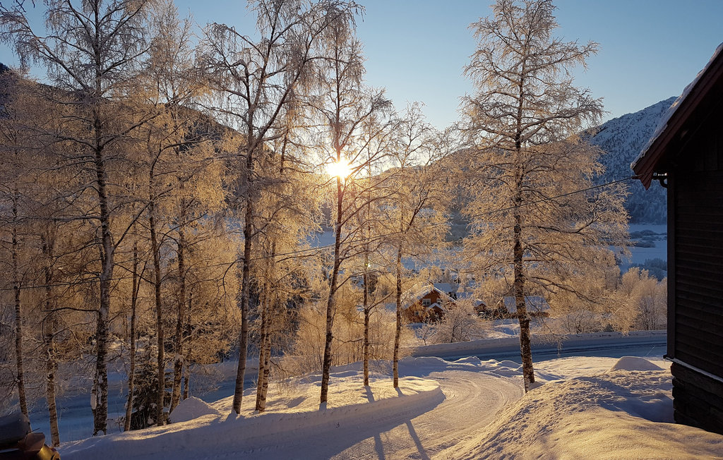 Ferienhaus - Myrkdalen/Voss , Norwegen - N20459 25
