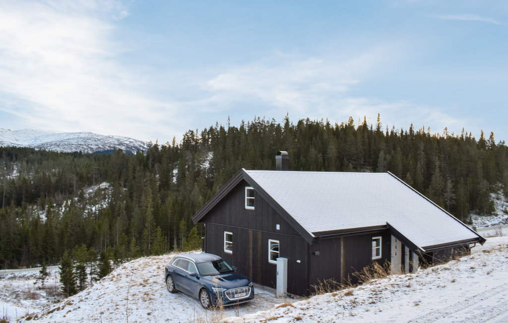 Feriehuse - Himlesdalen/Voss , Norge - N20428 8