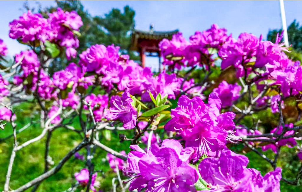 Feriehuse - Bruvik , Norge - N20434 18