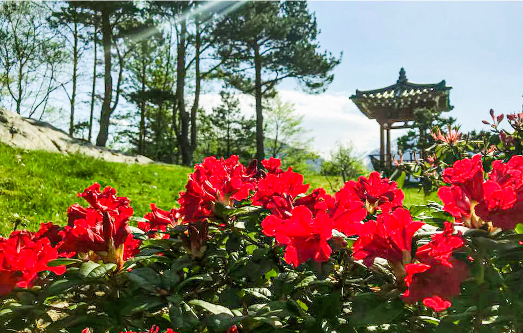 Feriehuse - Bruvik , Norge - N20434 19