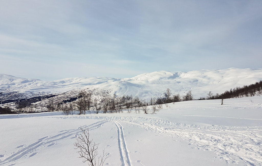 Ferienhaus - Myrkdalen/Voss , Norwegen - N20459 27