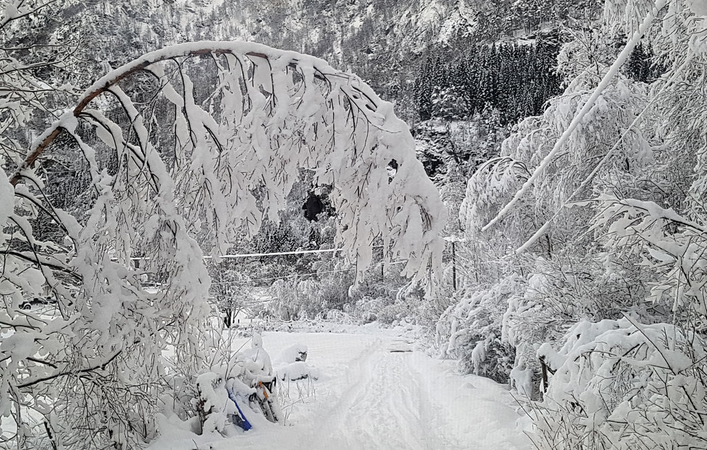 Feriehuse - Eikemo i Lindås , Norge - N20606 23
