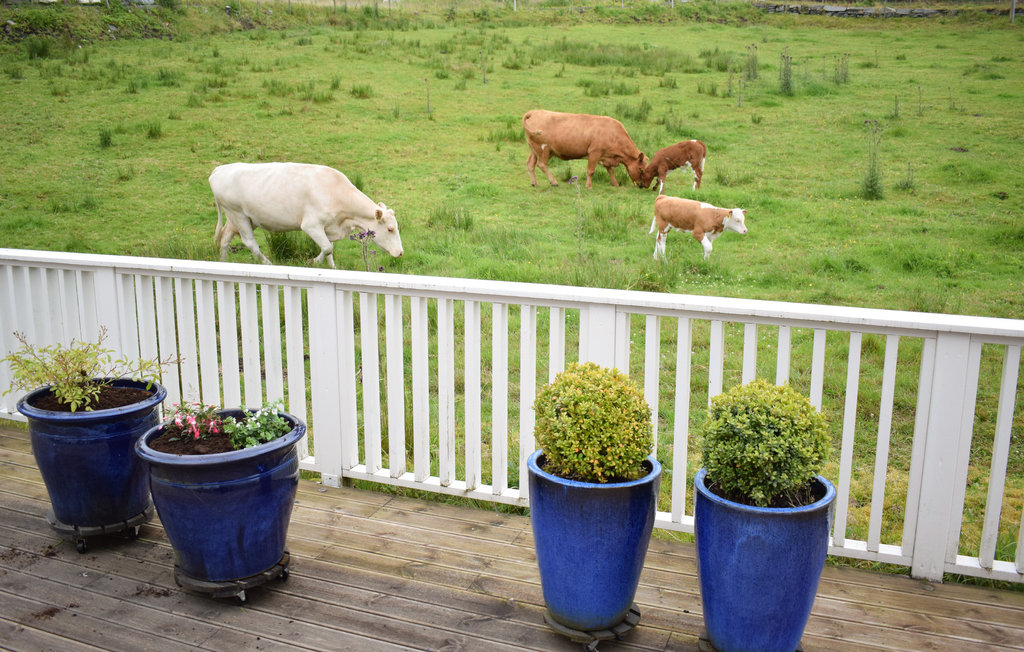 Feriehuse - Herdla/Askøy , Norge - N20441 12