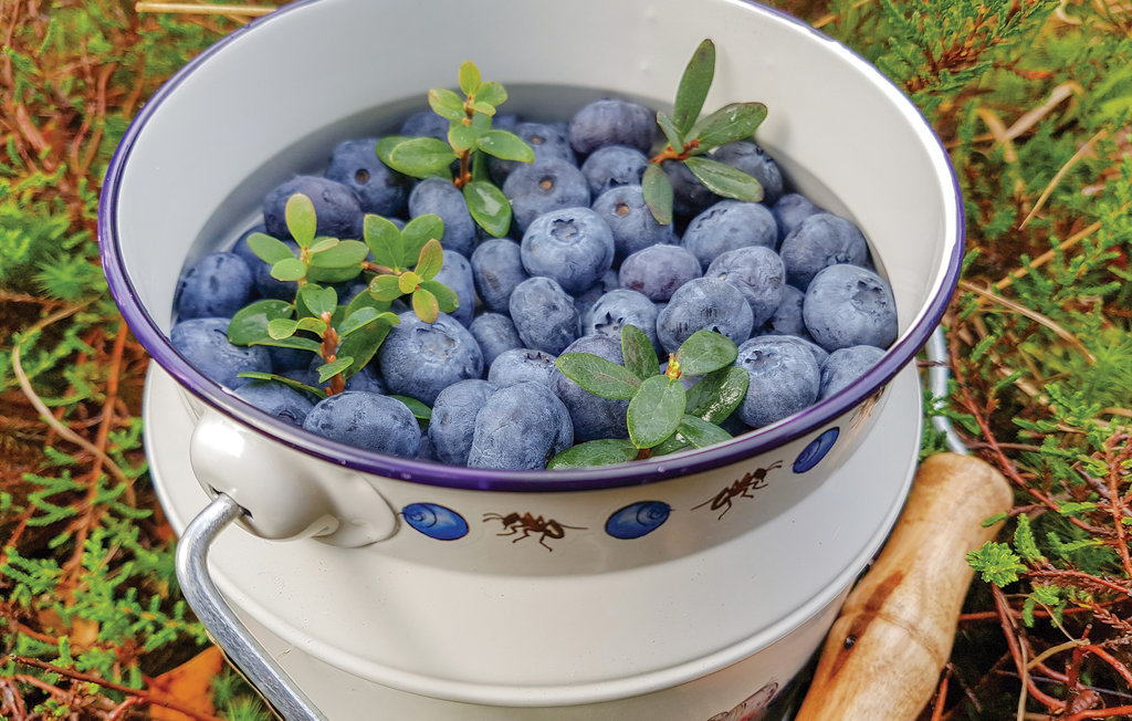 Feriehuse - Eikemo i Lindås , Norge - N20606 30