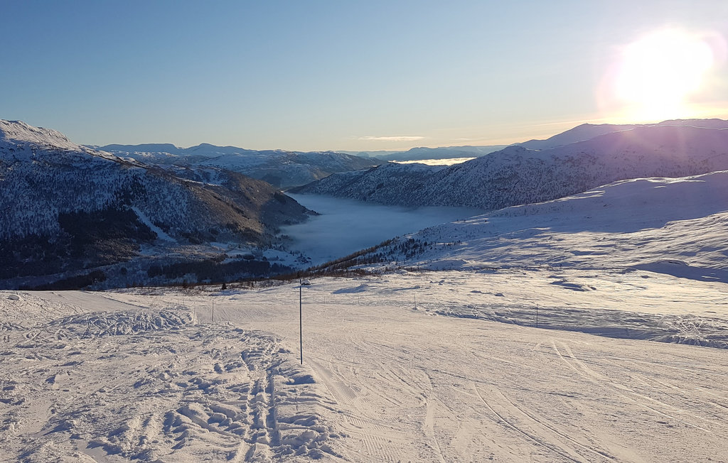 Ferienhaus - Myrkdalen/Voss , Norwegen - N20459 28