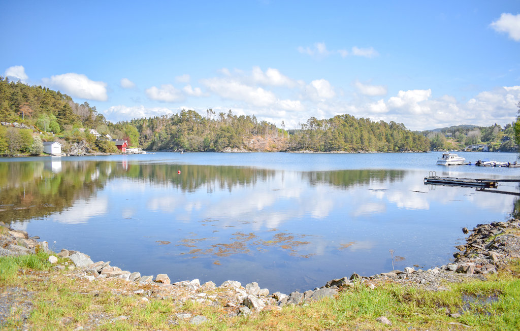 Ferienwohnung - Blomsterdalen/Bergen/Vestland , Norwegen - N20412 7
