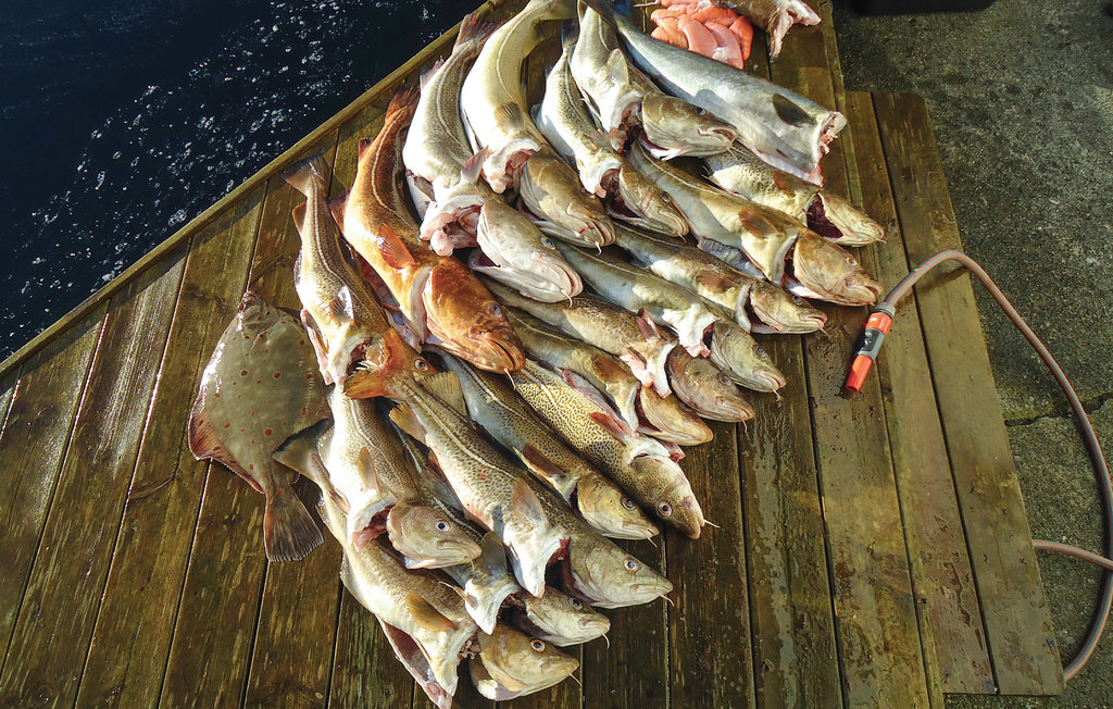 Lejlighed - Sund/Sotra , Norge - N20015 23