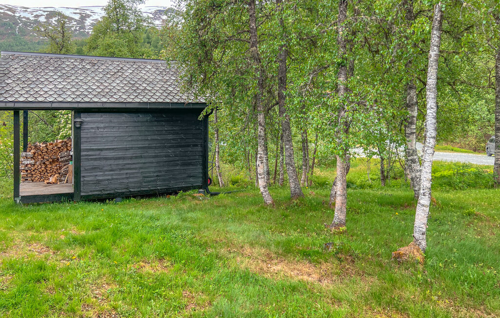 Feriehus - Voss , Norge - N20439 8
