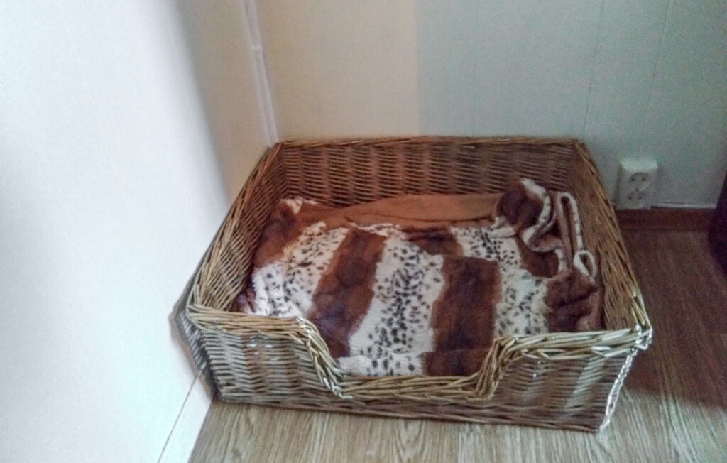 Feriehuse - Vestland , Norge - N20457 12