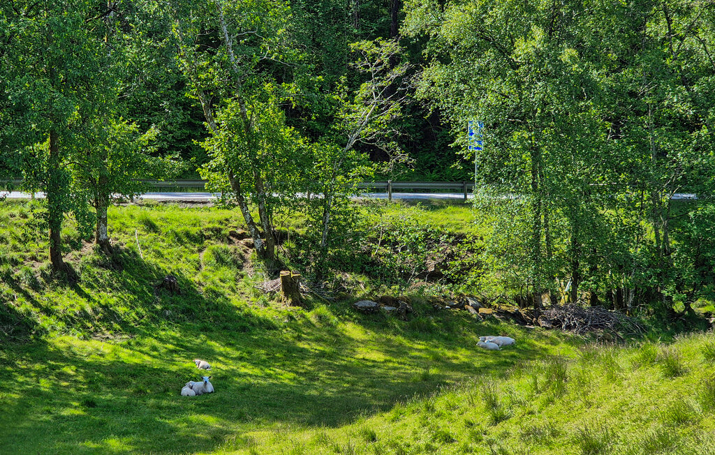 Location de vacances - Eikelandsosen , Norvège - N20479 24