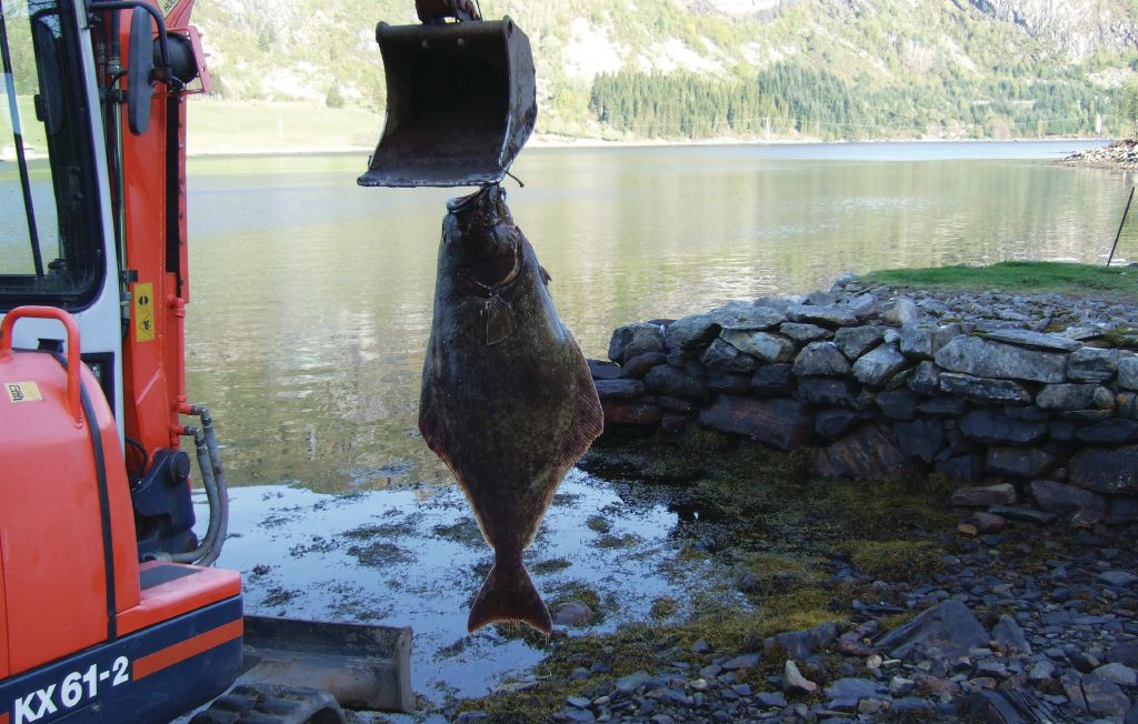 Feriehuse - Sørbøvåg/Sandnes , Norge - N21022 13