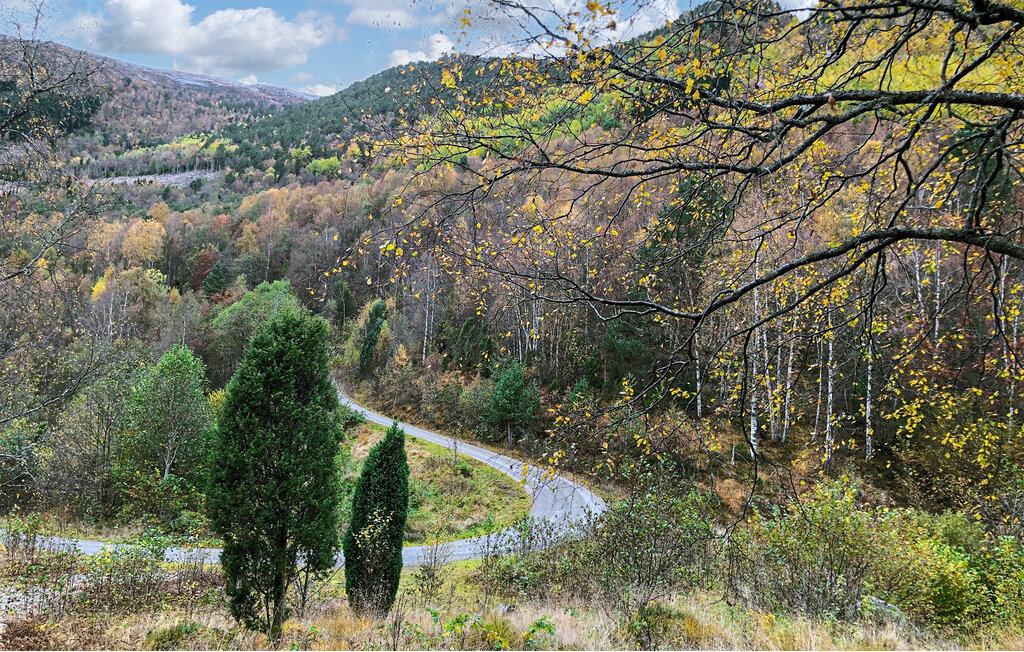 Feriehuse - Sognefjorden , Norge - N21951 25