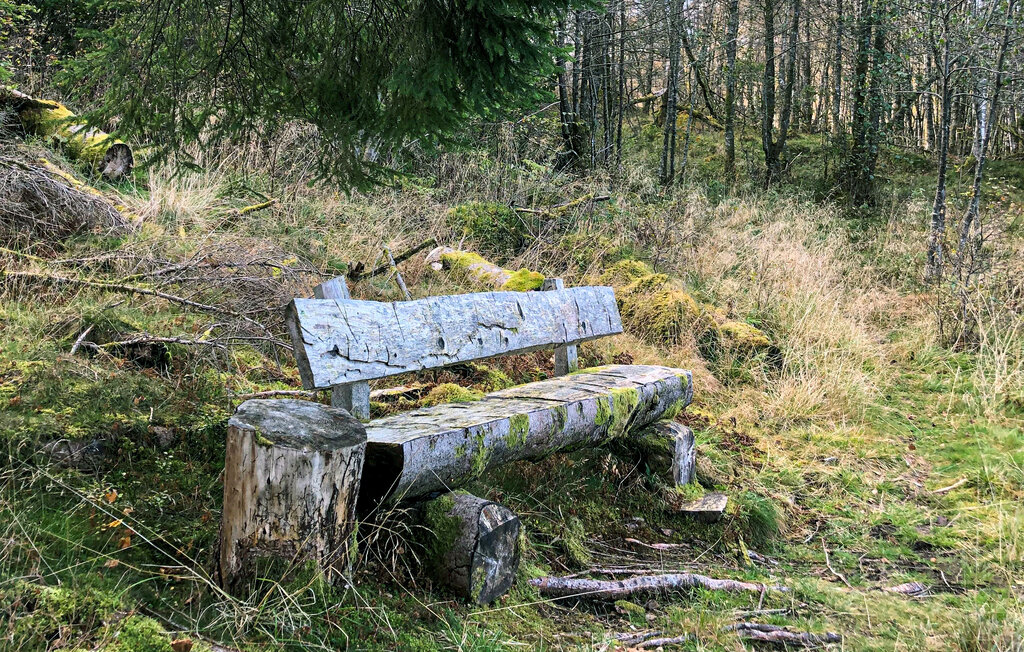Feriehuse - Sognefjorden , Norge - N21951 26