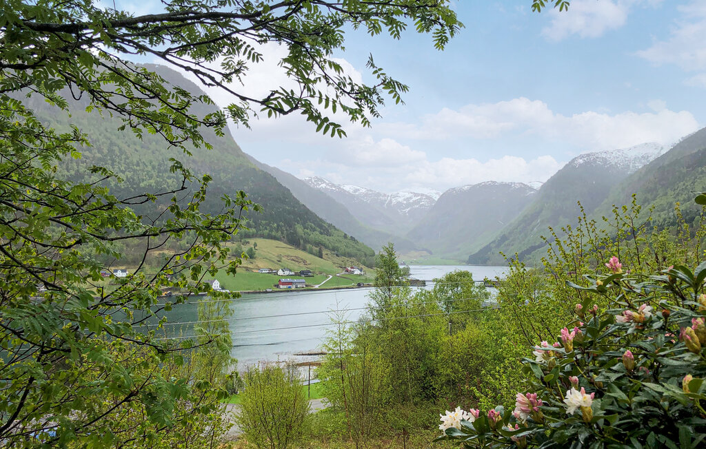 Feriehuse - Sognefjorden , Norge - N21951 27