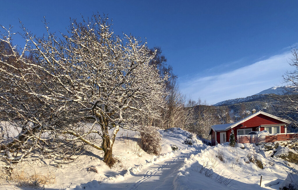 Feriehuse - Sognefjorden , Norge - N21951 8