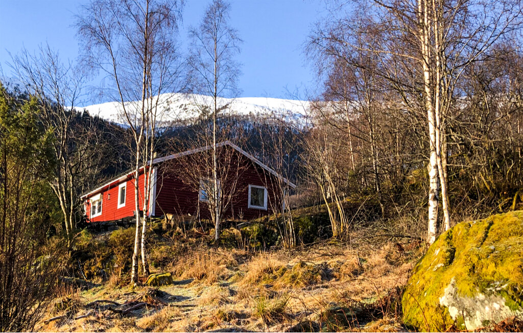 Feriehuse - Sognefjorden , Norge - N21951 9