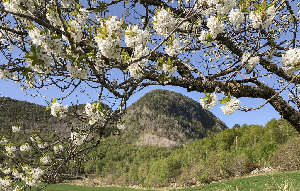 Feriehuse - Sognefjorden , Norge - N21951 29