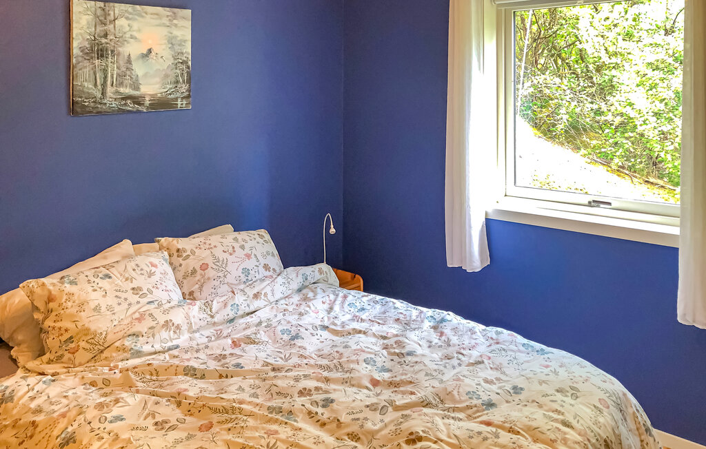 Feriehuse - Sognefjorden , Norge - N21951 23