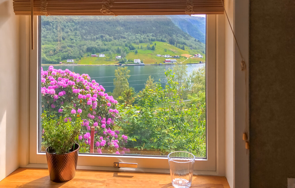 Feriehuse - Sognefjorden , Norge - N21951 5