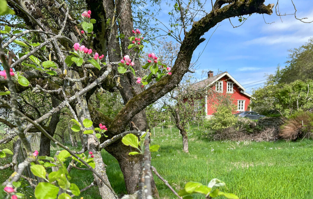 Location de vacances - Vik/Sogn , Norvège - N21112 11