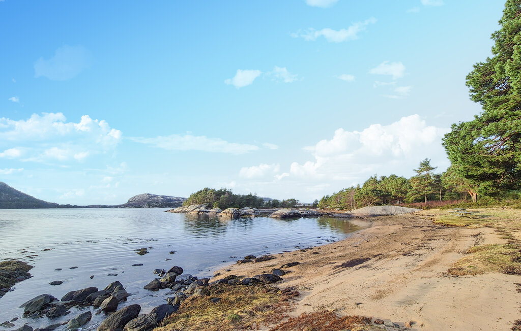 Feriehuse - Eivindvik/Ytre Sogn , Norge - N21123 13