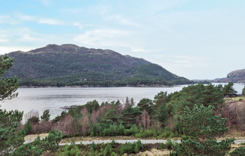 Feriehuse - Eivindvik/Ytre Sogn , Norge - N21123 15