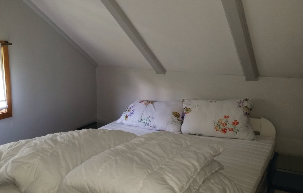Bild 5 Bild 5