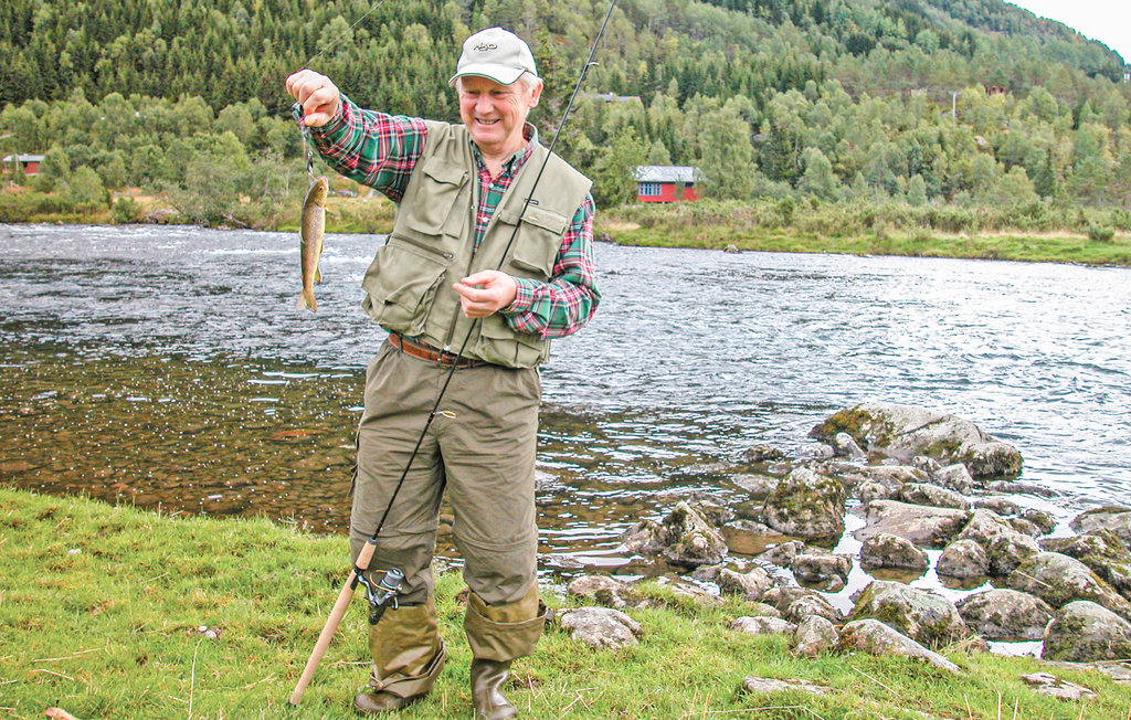 Feriehus - Hodlekve/Sogndal , Norge - N23360 14