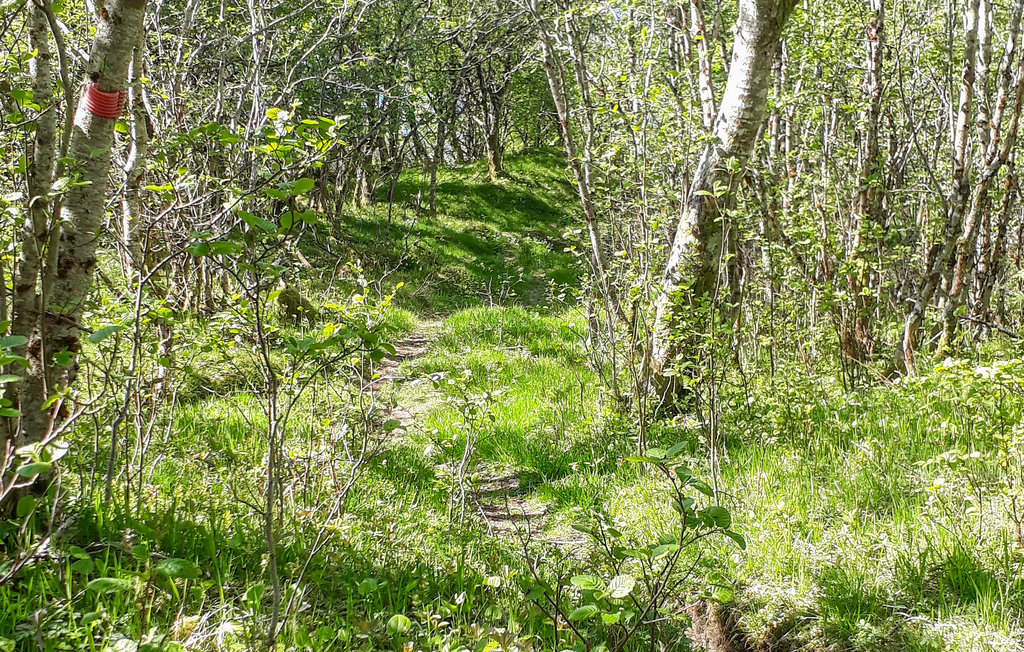 Ferienwohnung - Svortevik , Norwegen - N24099 24