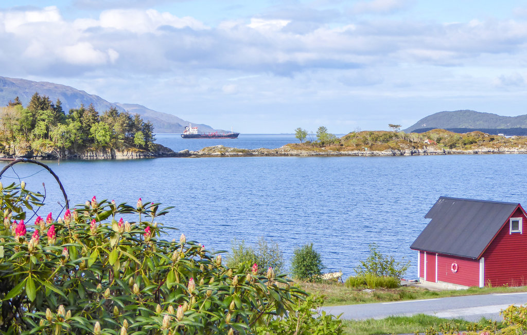 Ferienwohnung - Svortevik , Norwegen - N24099 5