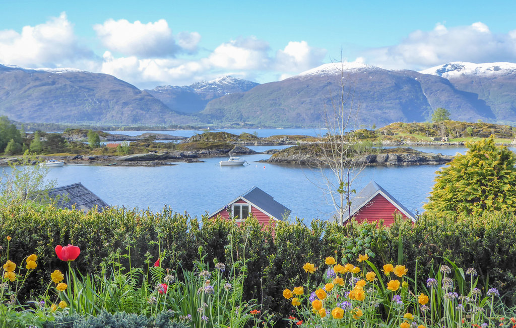 Ferienwohnung - Svortevik , Norwegen - N24099 16