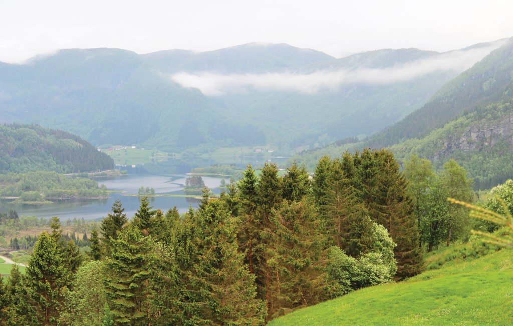 Feriehus - Dale i Sunnfjord , Norge - N24107 2