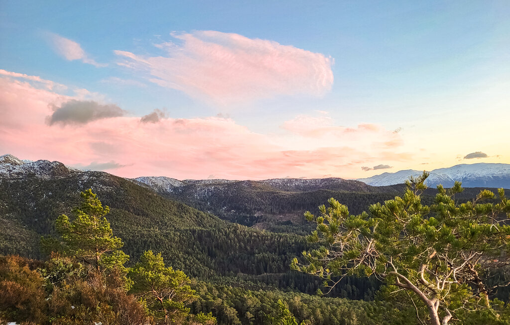 Feriehuse - Stavang , Norge - N24109 24