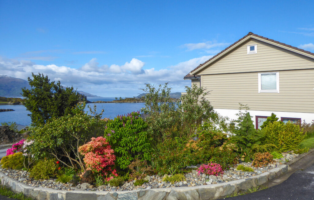 Ferienwohnung - Svortevik , Norwegen - N24099 12