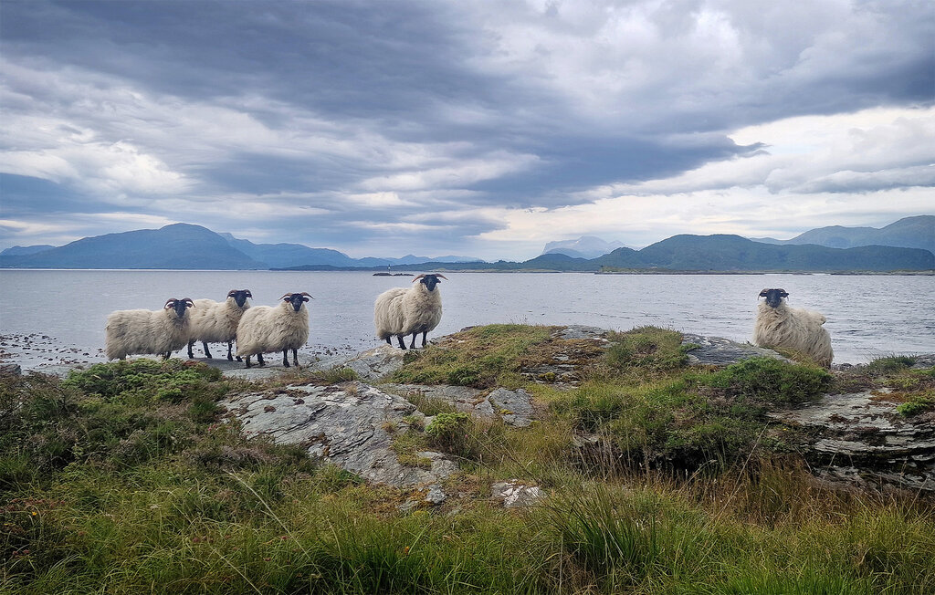 Feriehuse - Tansøy / Florø , Norge - N24130 33