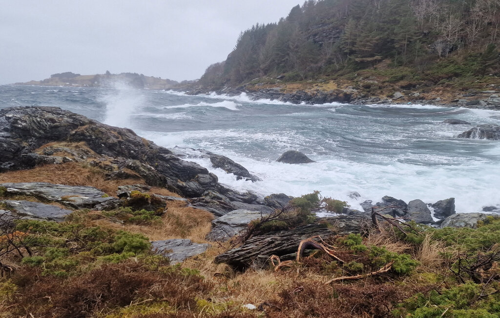 Feriehuse - Tansøy / Florø , Norge - N24130 36
