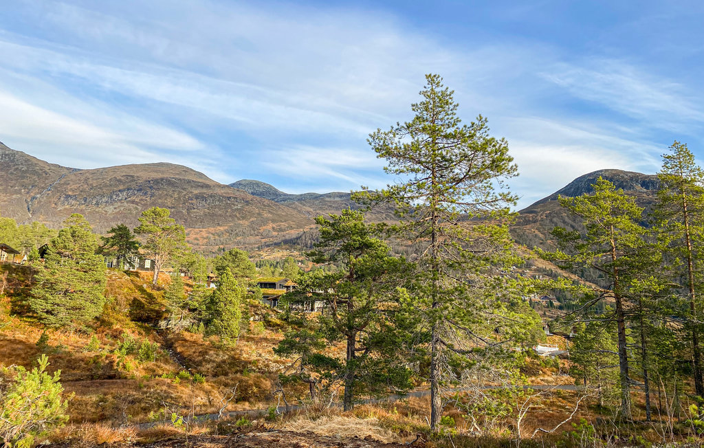 Feriehuse - Stryn , Norge - N25062 14