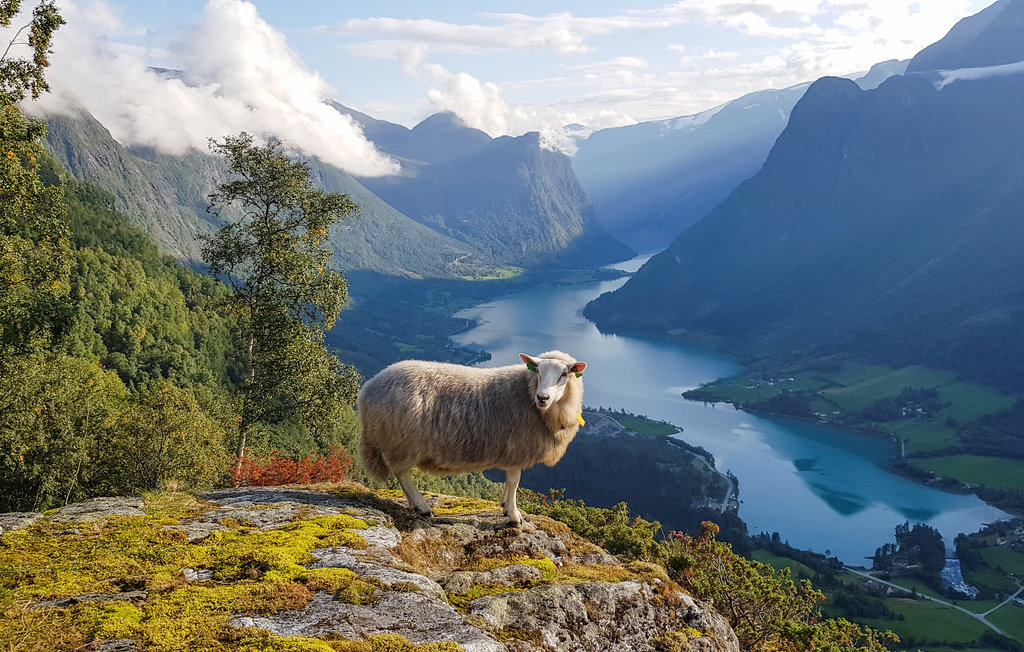 Feriehuse - Olden/Stryn , Norge - N25063 30