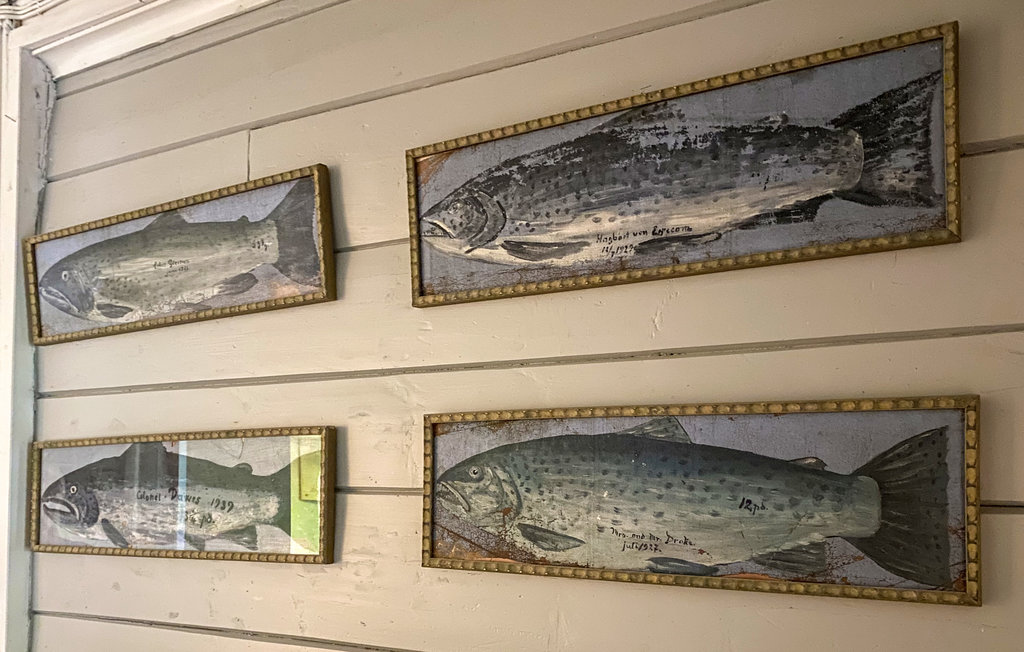 Feriehuse - Breim , Norge - N25061 15