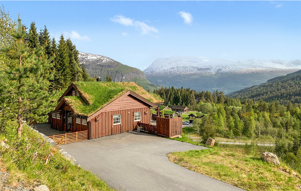 Ferienhaus - Stryn , Norwegen - N25064 1