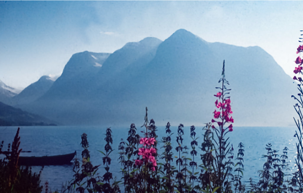 Feriehuse - Hjelle , Norge - N26046 17