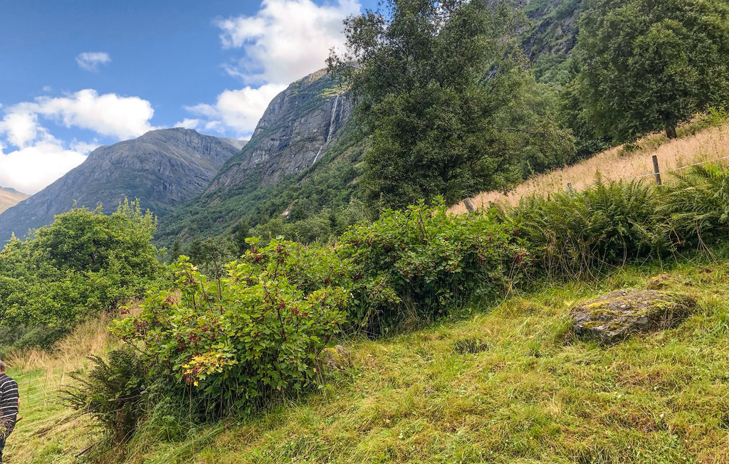 Feriehuse - Olden , Norge - N26041 9