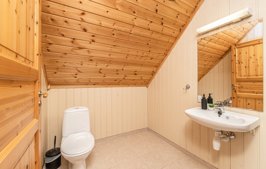 Semesterhus - Bringsinghaug/Storholmen , Norge - N27179 29