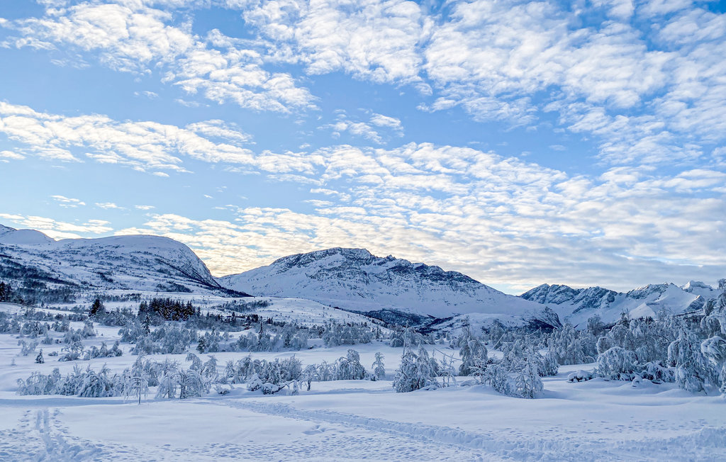 Semesterhus - Straumgjerde , Norge - N27155 14