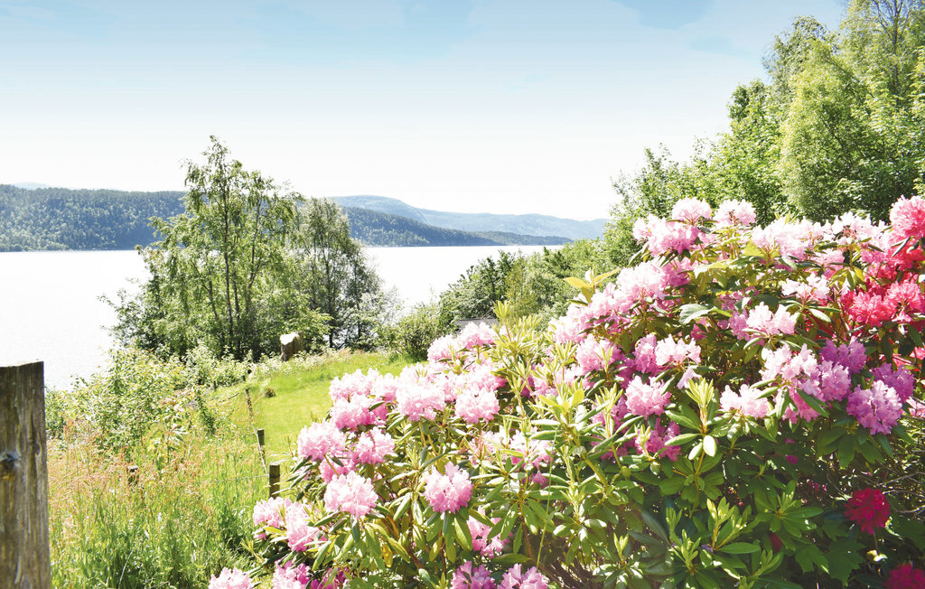 Feriehuse - Vatne , Norge - N27173 13