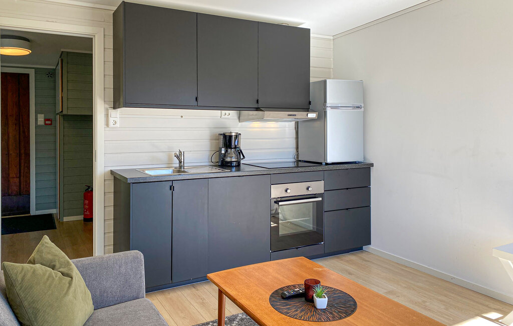 Feriehus - Ørsta , Norge - N27326 14