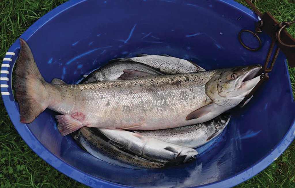 Feriehuse - Vike , Norge - N28052 12