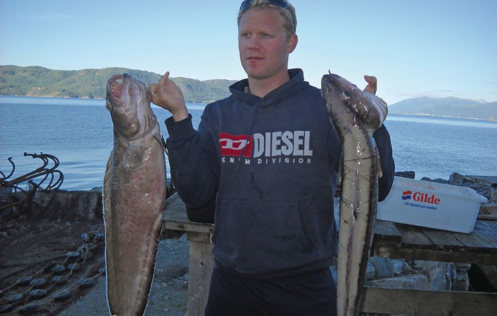 Feriehuse - Vågstranda/Pålgjerde , Norge - N28119 13